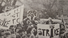 CampusBuiLLd: Interactive Arts & Activism