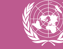 United Nations General Assembly Parallel Youth Summit